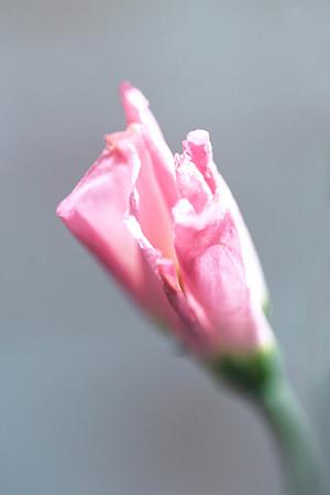 防犯フィルムを取り扱っている施工会社