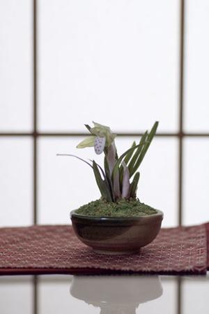 ナチュラルな暮らしを叶える！高品質な無垢板家具の魅力とは？