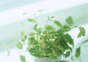 横浜市にあるタカラスタンダード横浜ショールームの魅力と詳細情報